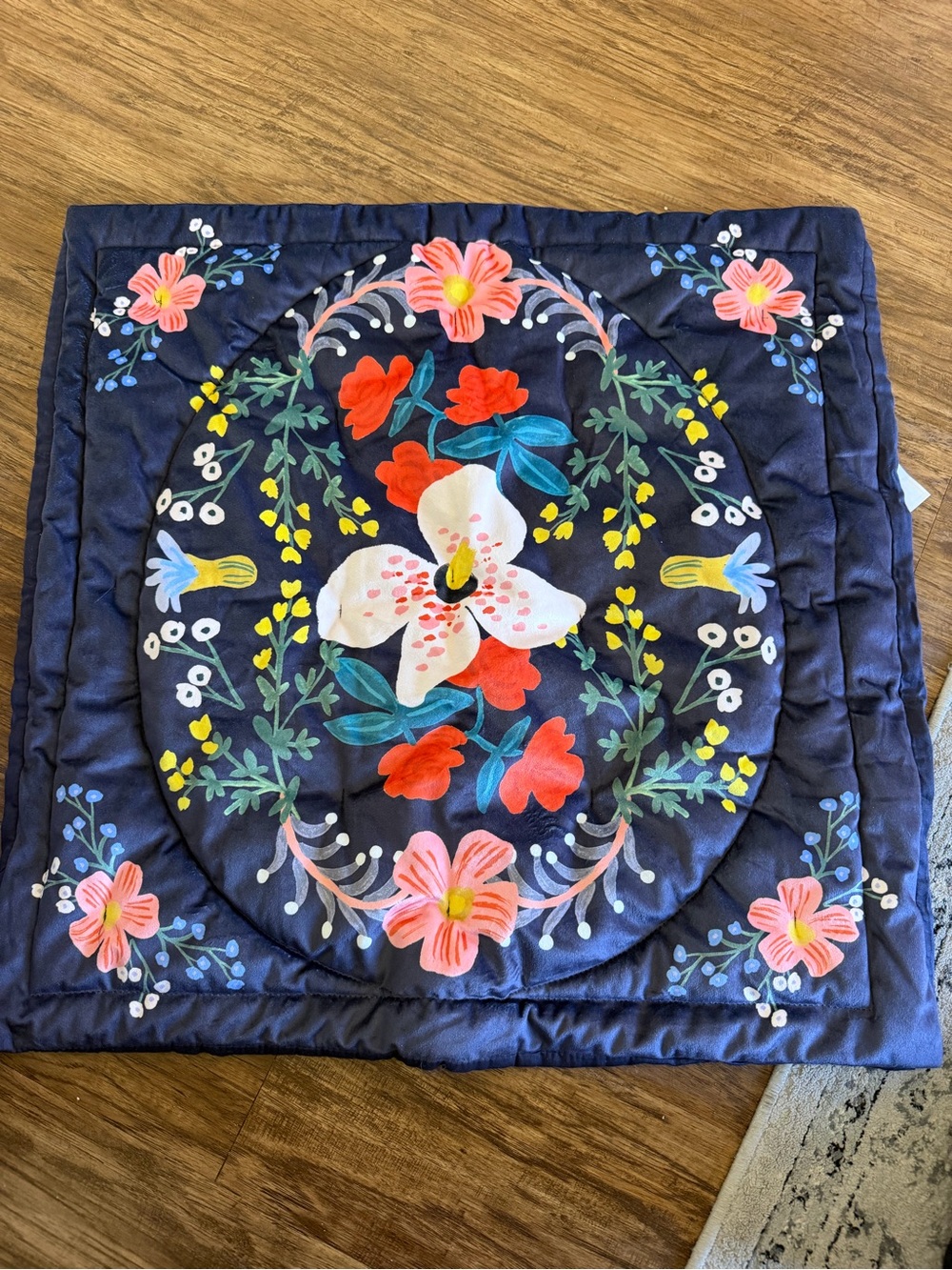 Anthropologie x rifle paper company euro sham like new